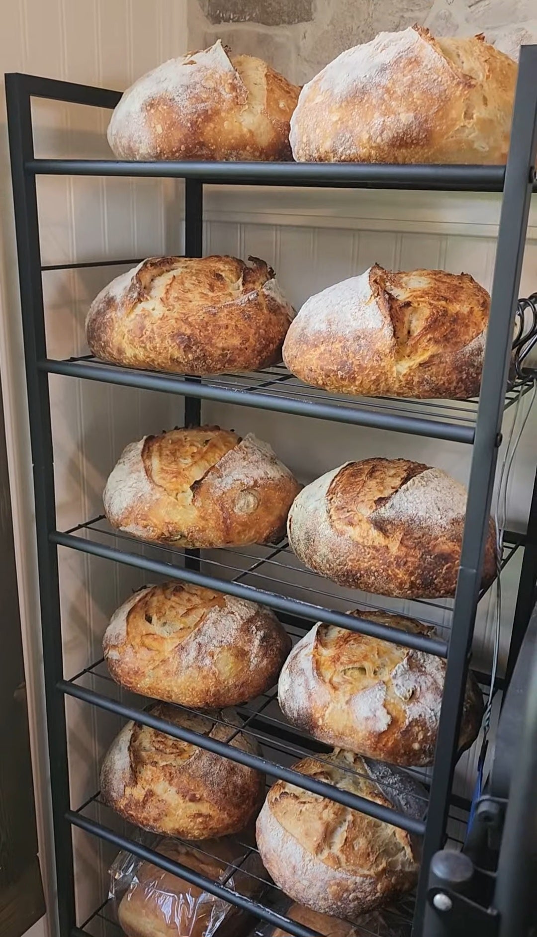 Sourdough Bread