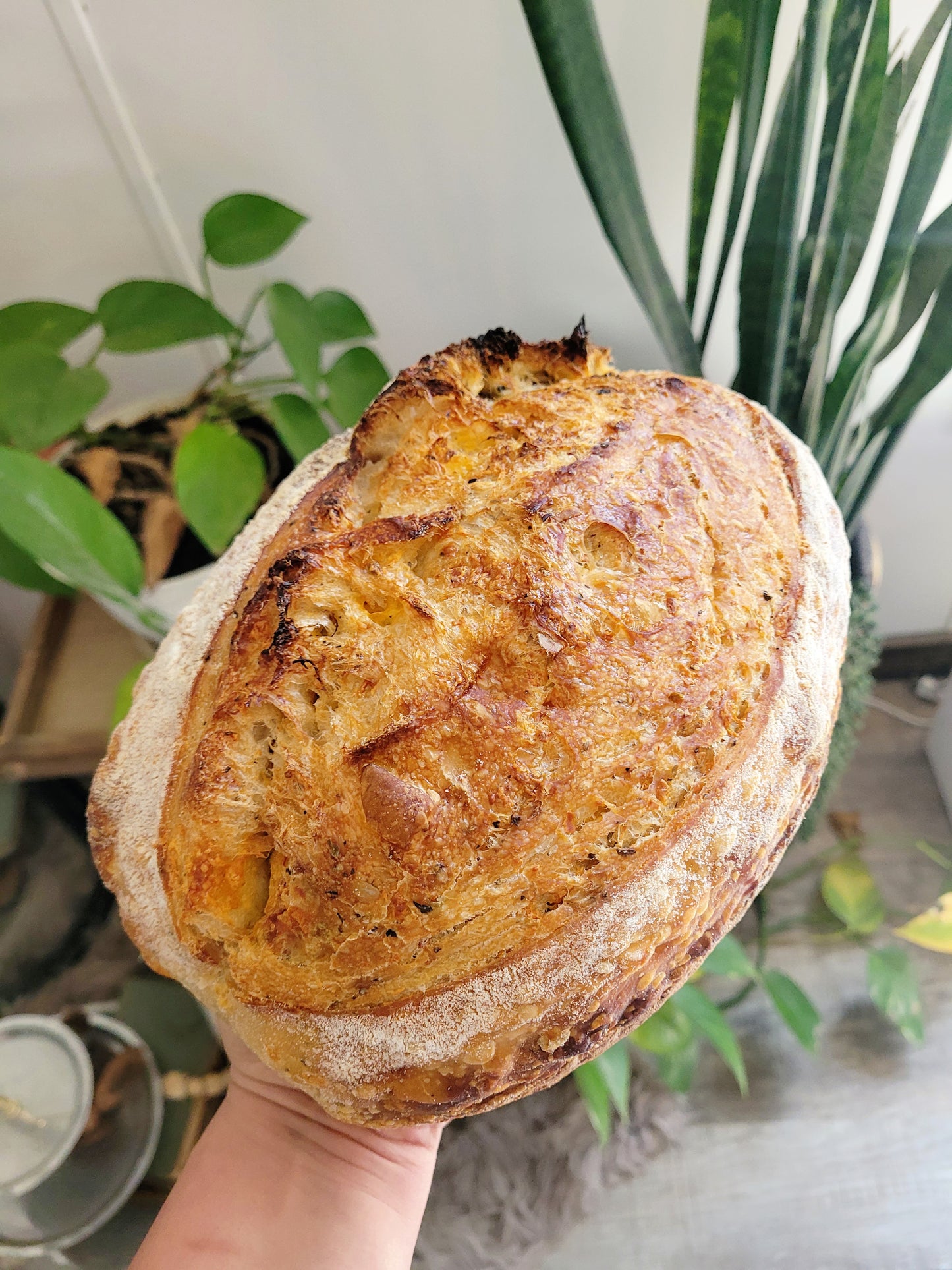 Garlic & Herb Artisan Sourdough